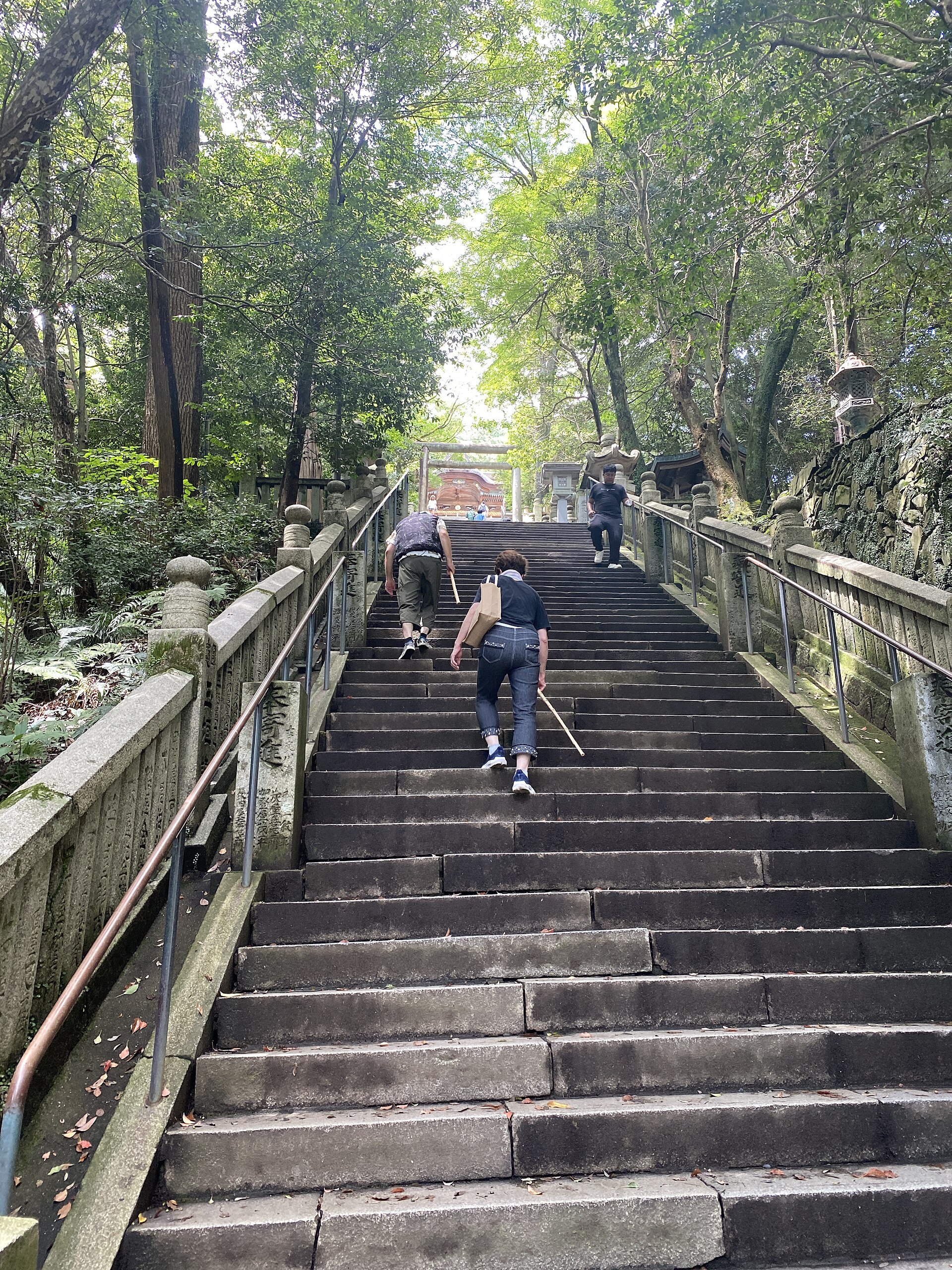 石段を登る参拝者
