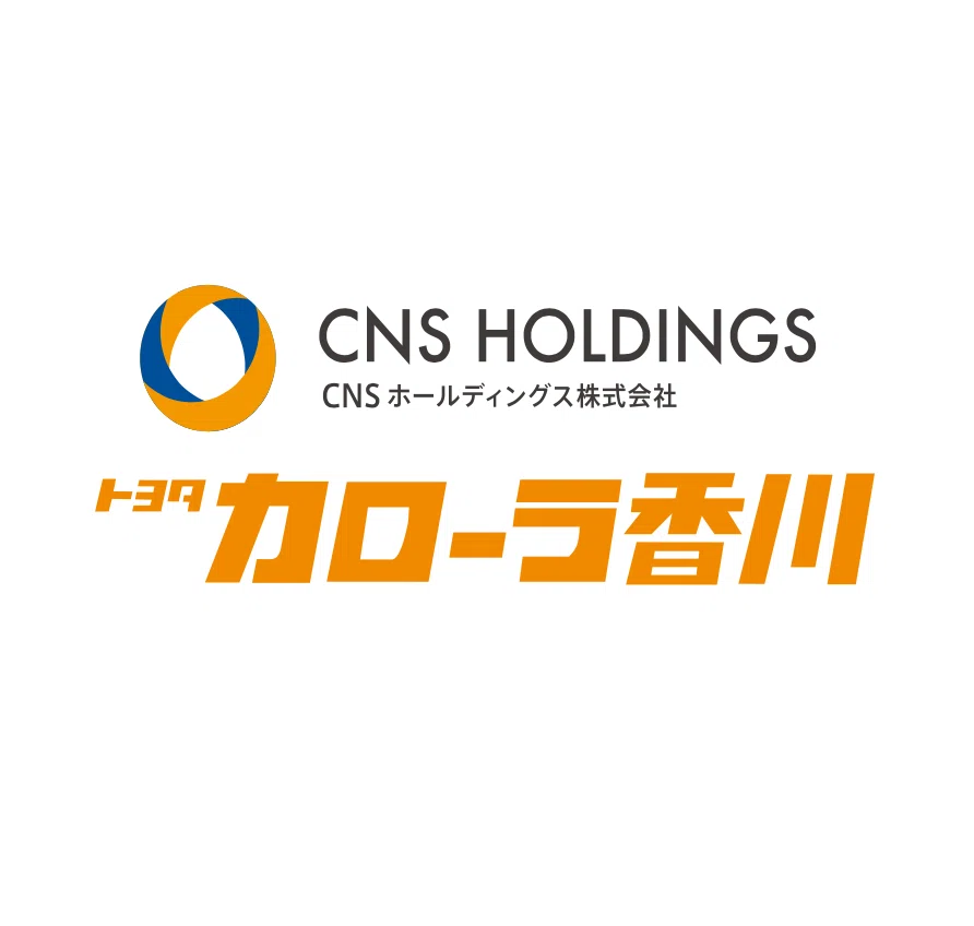 CNS HOLDINGS